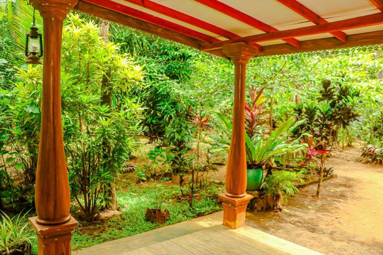 Senura Home Stay Sigiriya Exterior photo