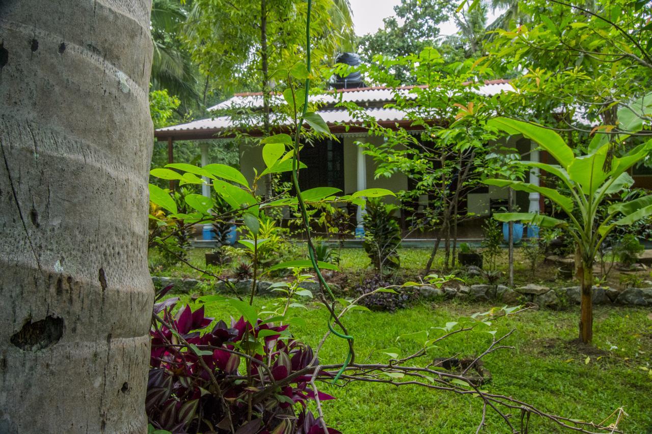 Senura Home Stay Sigiriya Exterior photo